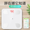 23项身体数据 | 臻皙定制智能体脂称ML628[福利品] 商品缩略图1