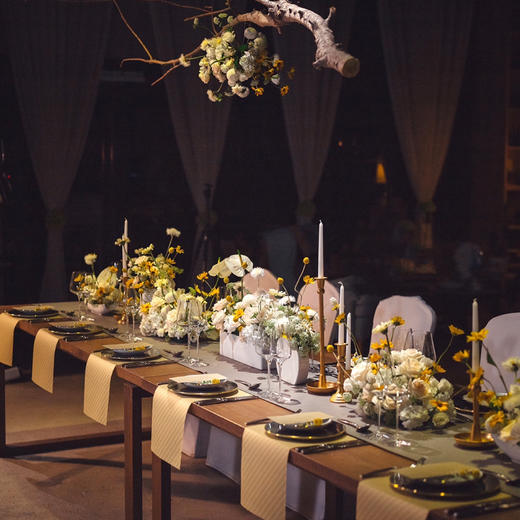 《暮光之城》-悬挂西餐桌花设计 商品图1