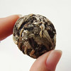 月光白茶龙珠 月光美大树龙珠 迷你小沱茶 6~7g/粒 商品缩略图4