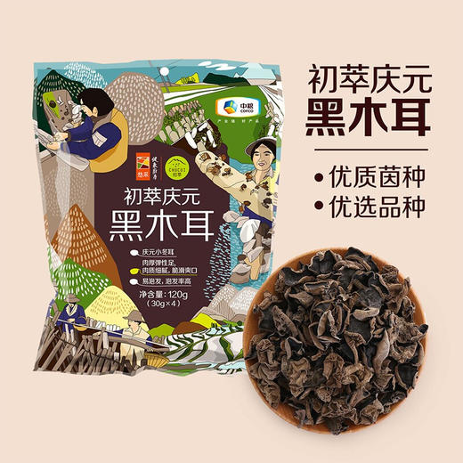 【D】中粮初萃山珍礼盒580g食用菌 （黑木耳/银耳/花冬菇/茶树菇/香信菇） 商品图1