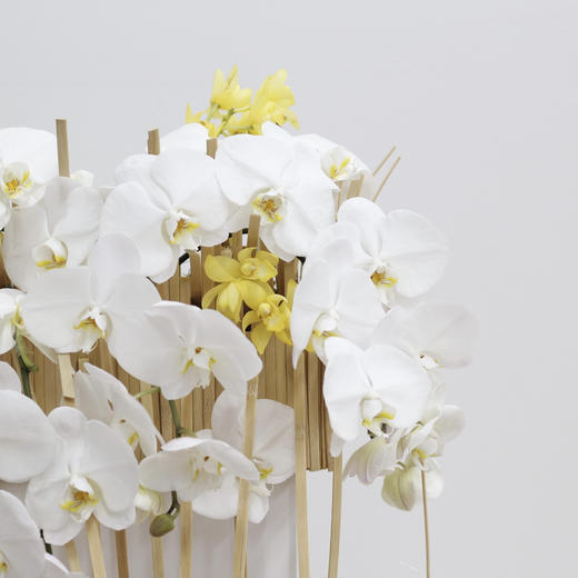 蝴蝶飞飞-会议桌花 商品图3