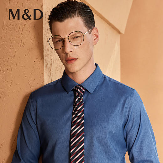 【竹纤维】名盾长袖衬衫商务行政正装衬衣艾草防螨混纺春秋季 商品图2