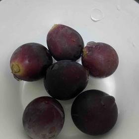 莫测试商品-勿动