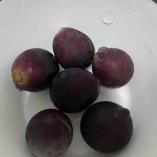 莫测试商品-勿动 商品图0