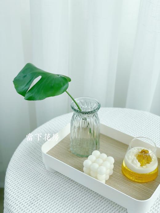 【北欧文艺花瓶】2个/份 今日购买还送富贵竹5支 适合小花束 不论摆在哪里都那么小巧可爱 商品图3