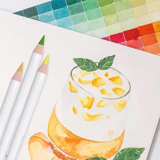 米娅MIYA小森林系列水溶性彩铅48色36色24色专业水溶性彩色铅笔画套装 商品图3