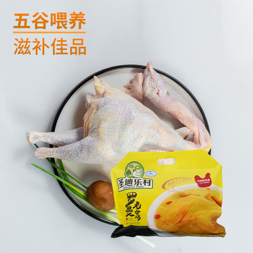 圣迪乐村罗曼老母鸡1200g 商品图0