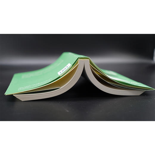 文学批评：一部简明政治史 守望者·镜与灯 商品图4