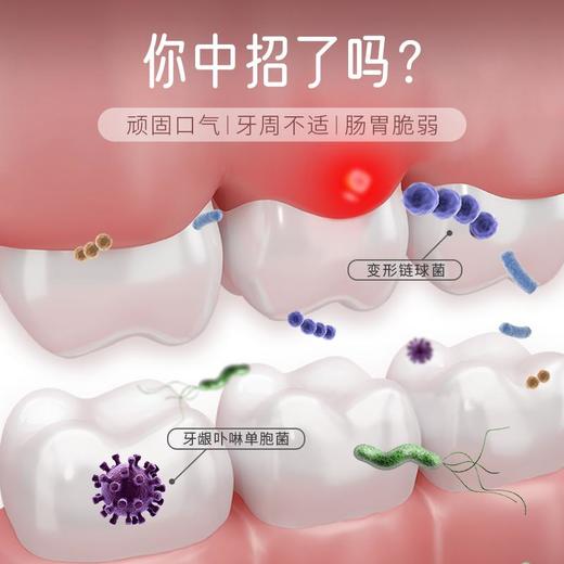 【去口臭】韩国进口麦斯特凯斯乳香牙膏 商品图4