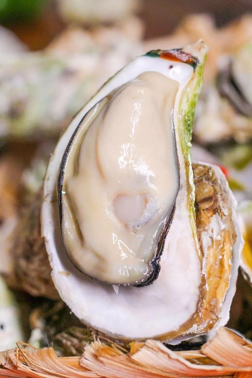 生蚝4斤/盒 商品图3