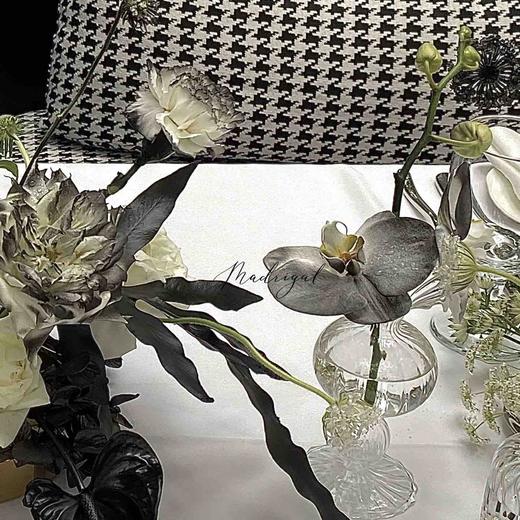 《蝶》蝴蝶兰西餐桌花设计 商品图4