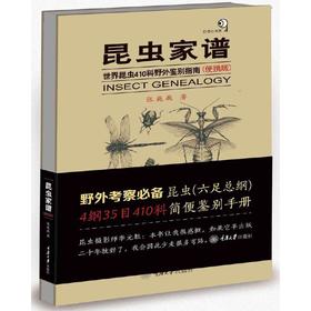 昆虫家谱——世界昆虫410科野外鉴别指南（便携版）