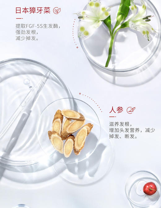 卡蓓诺 防脱洗发水/护发素（男士专用）350ml 商品图6