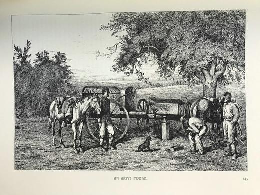 三十年后：一个画家的美国内战回忆录 数百幅插图 精装8开 商品图5