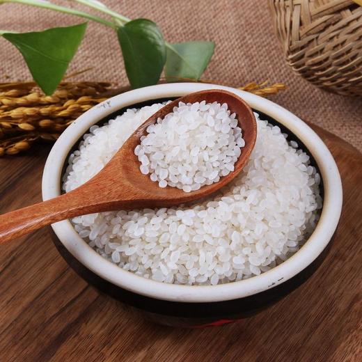 良农嫁稻 中国农垦 寒地东北大米 农场直供 真空锁鲜 5kg*3 商品图4