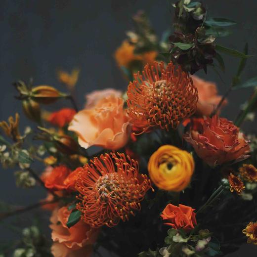 電球花事 夏朵十二篮