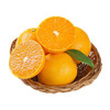 爱媛果冻橙2斤左右/盒 商品缩略图2