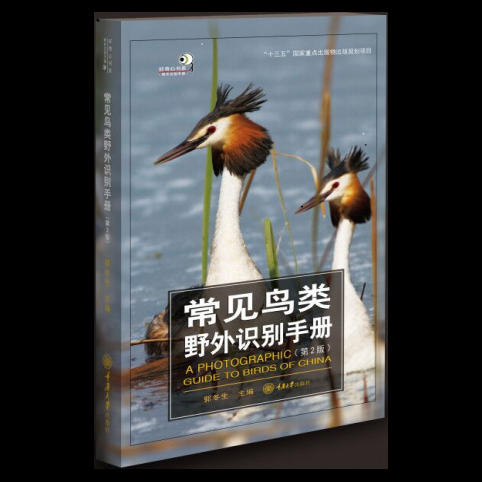 正版现货 常见鸟类野外识别手册（第二版） 好奇心书系 郭冬生 商品图0