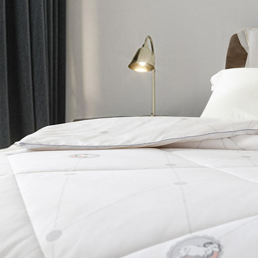 杉杉家纺 新西兰羊毛被 QFS-31014 商品图6