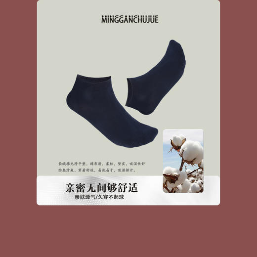 【名盾特别定制】薄款防臭吸汗低帮抗菌袜子 颜色随机发货 商品图2