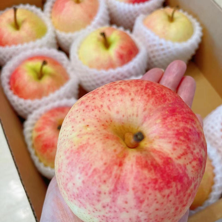 【京津冀包邮】佛见喜梨7斤装左右 约12个 酥脆香甜多汁,果肉细腻