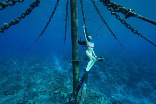 两天一夜东澳岛休闲潜水之旅 商品图1