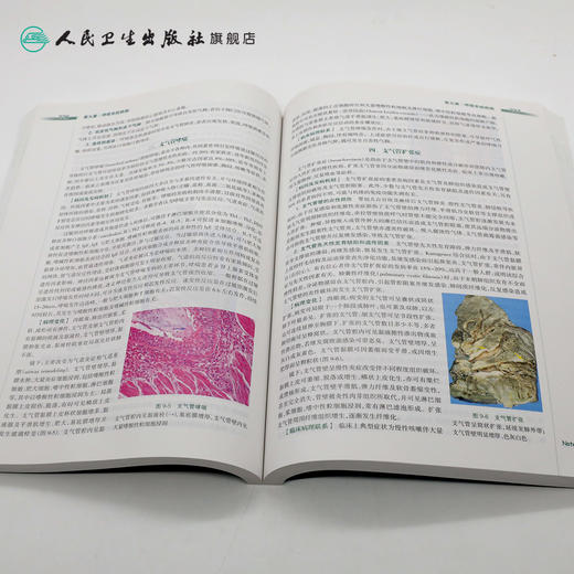 病理学 八年制 9787117205184 商品图4