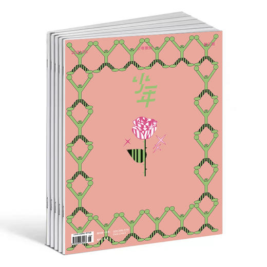 （亦心）三联 少年新知年刊订阅 商品图2