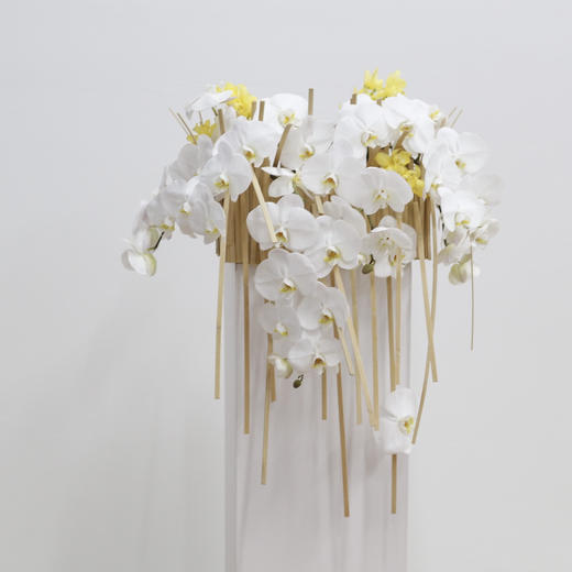 蝴蝶飞飞-会议桌花 商品图1