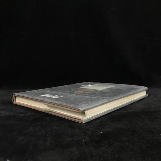 美国现代艺术家魏格曼作品集 约百幅插图 精装16开 商品图2