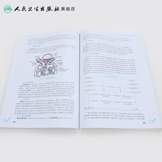 组织学与胚胎学（第3版） 商品图4