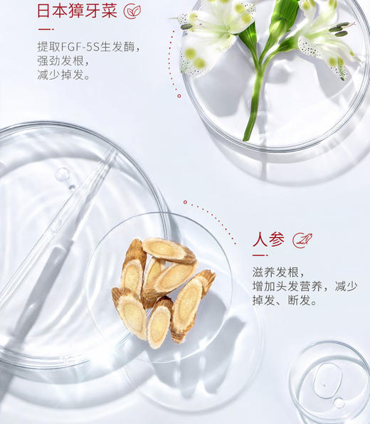 卡蓓诺防脱洗发水/护发素（油性脱发）350ml 商品图8