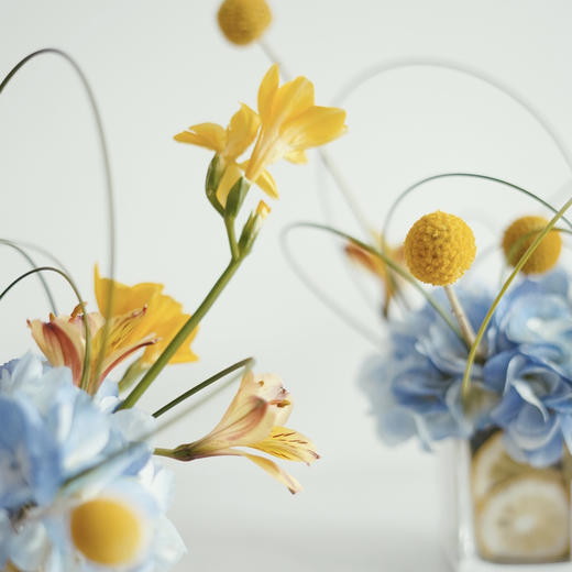 绣球混搭小桌花 商品图2