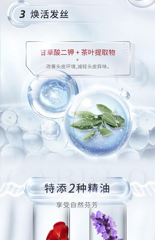 卡蓓诺防脱洗发水/护发素（油性脱发）350ml 商品图7
