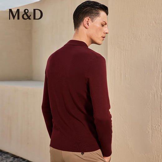 名盾男士羊毛衫商务休闲秋冬毛衣POLO衫翻领针织衫男 商品图3