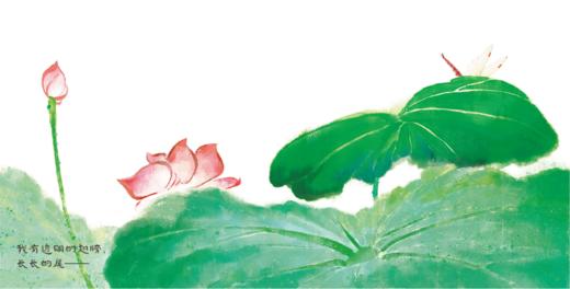 我是蜻蜓你是谁 ——点虫虫系列 商品图5