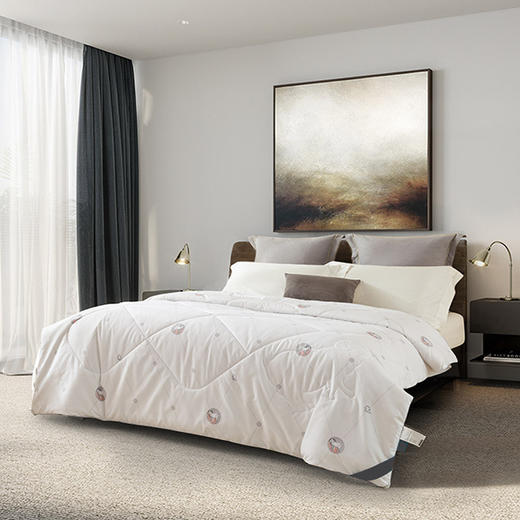 杉杉家纺 新西兰羊毛被 QFS-31014 商品图0