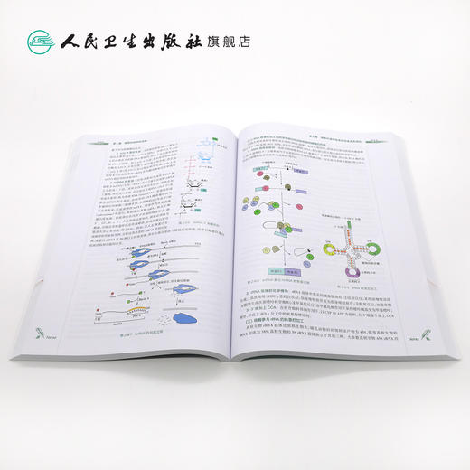 细胞生物学 第3版  左伋 刘艳平 主编  八年制 配增值 9787117203937  2015年6月学历教材 人民卫生出版社 商品图4