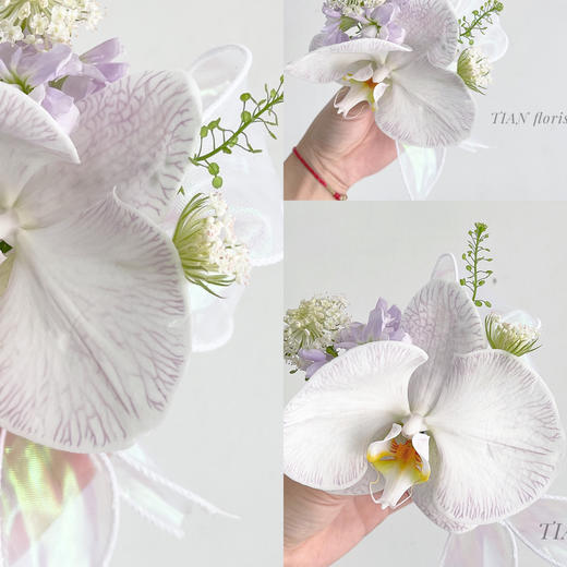 蝴蝶兰胸花 商品图0