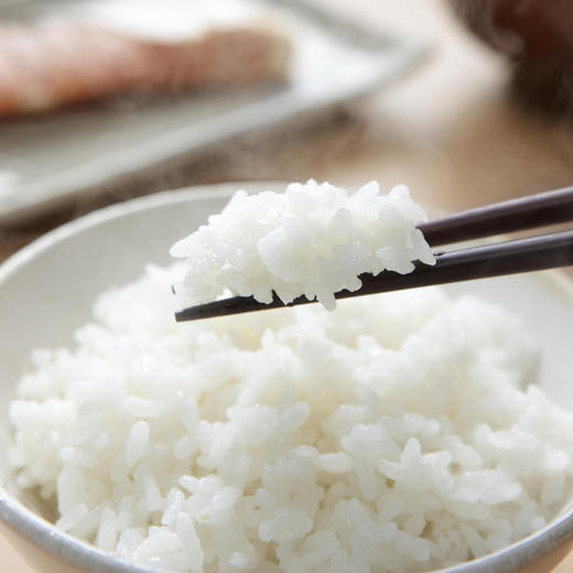 甄食在 火山岩大米 5千克/袋 商品图4