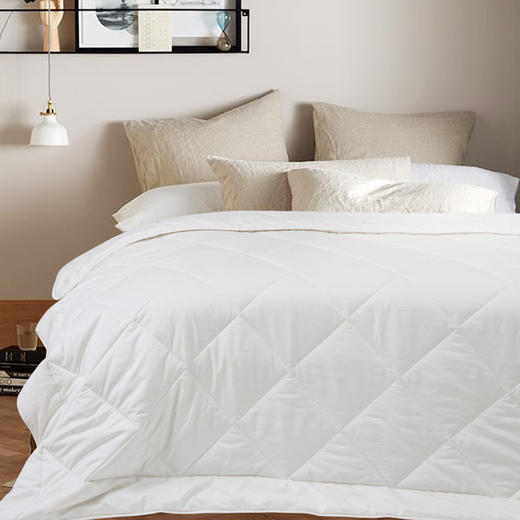 诗意生活 | CRIA羊驼毛冬被 400gsm 每条被子送一对酒店枕A 商品图4