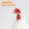 圣迪乐村罗曼老母鸡1200g 商品缩略图1
