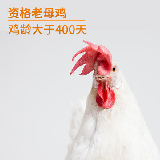 圣迪乐村罗曼老母鸡1200g 商品图1