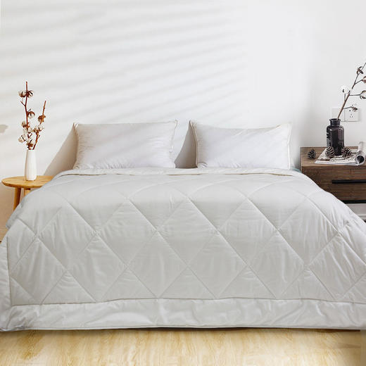 诗意生活 | CRIA羊驼毛冬被 400gsm 每条被子送一对酒店枕A 商品图3