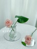 【北欧文艺花瓶】2个/份 今日购买还送富贵竹5支 适合小花束 不论摆在哪里都那么小巧可爱 商品缩略图5