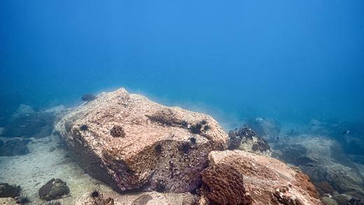 两天一夜东澳岛休闲潜水之旅 商品图5