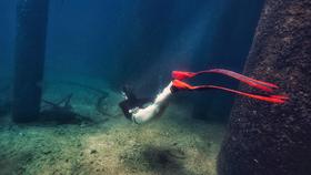 两天一夜东澳岛休闲潜水之旅