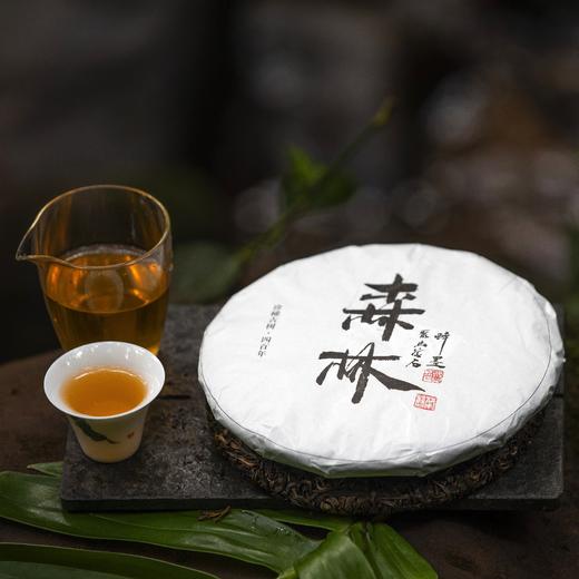 【400年古树系列】2019年/2020年 森林古树生茶（普洱生茶）357g/饼 商品图0