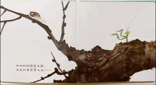 点虫虫系列—我是蜻蜓你是谁、小蚂蚁们忙什么、蝴蝶你要去哪里 商品图8