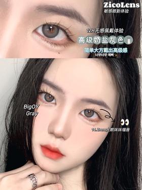 zico lens BIG OY灰/BIG OY巧